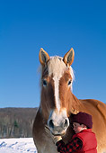 HOR 01 LS0052 01
Portrait Of Boy With Belgian Horse Fairfield, Vermont