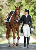 HOR 01 MB0245 01
Woman In Dressage Clothes Leading Warmblood On Road