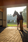 HOR 01 MB0247 01
Man Holding Thoroughbred Stallion In Barn