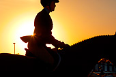 HOR 01 MB0389 01
Close-Up Silhouette Of Girl And Horse At Show Jumping Event
