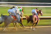 HOR 01 MB0390 01
Stylized Motion Action Shot Of Arabian Horse Racing