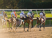 HOR 01 MB0391 01
Horse Racing On Track