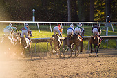 HOR 01 MB0392 01
Horse Racing On Track