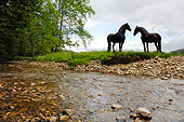 HOR 01 MB0399 01
Two Friesian Horses Standing By Creek Against Stormy Sky