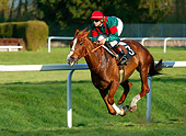 HOR 01 KH0026 01
Jockey Riding Chestnut Race Horse Galloping On Grass Race Track