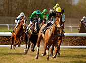 HOR 01 KH0028 01
Horses Running In Steeplechase Race