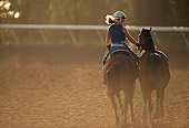 HOR 01 MR0002 01
Girl Riding With Two Horses On Race Track Golden Gate Field