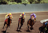 HOR 01 MR0004 01
Horses Racing Around Track
