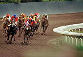 HOR 01 MR0005 01
Horses Racing Around Track