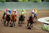 HOR 01 MR0006 01
Horses Racing Around Track