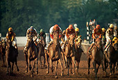 HOR 01 MR0007 01
Horses Racing Around Track