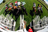 HOR 01 MR0008 01
Overhead Wide Angle View Of Race Horses Leaving Gate