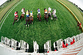 HOR 01 MR0009 01
Overhead Wide Angle View Of Race Horses Leaving Gate