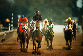 HOR 01 MR0010 01
Horses Racing On Track