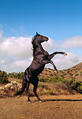 HOR 01 RK0361 26
Black Quarter Horse Rearing On Dirt Hills Background