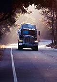 HWY 01 RK0016 01
Highway Under Trees With Cement Truck