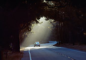 HWY 01 RK0018 01
Highway Under Trees With Car