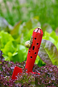 INS 15 KH0028 01
Snail Crawling On Red Shovel In Garden