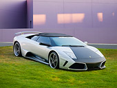 LAM 01 RK0746 01
2008 Lamborghini Murcielago LP640 Roadster Silver And Black 3/4 Front View On Grass