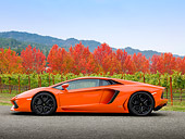 LAM 01 RK0760 01
2012 Lamborghini Aventador Orange Profile View On Pavement By Vineyard