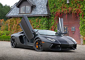 LAM 01 RK0768 01
2012 Lamborghini Aventador Black 3/4 Front View On Gravel By Ivy Covered Building