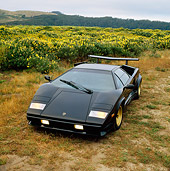 LAM 01 RK0216 01
Lamborghini Countach Black Overhead Front 3/4 View In Field