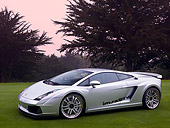 LAM 01 RK0613 01
2006 Lamborghini Gallardo IMSA GTV Silver 3/4 Side View On Grass By Trees