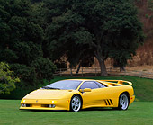 LAM 02 RK0019 17
1994 Lamborghini Diablo Special Edition 30th Anniversary Yellow 3/4 Front View On Grass Trees Background