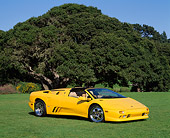 LAM 02 RK0100 01
1995 Lamborghini Diablo VT Roadster Yellow 3/4 Front View On Grass