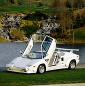 LAM 05 RK0015 04
1989 Lamborghini 25th Anniversary Edition 3/4 Side View On Grasss
