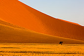 LAN 01 GL0003 01
Sand Dunes In Namib Desert, Namibia