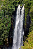 LAN 01 GL0009 01
Karura Falls In Aberdares Park, Kenya