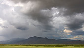 LAN 01 HP0003 01
Stormy Prairie In Kaokoveld Desert, Namibia