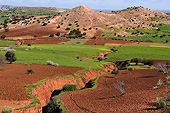 LAN 01 JE0002 01
Fields In Essaouira, Morocco