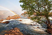 LAN 01 MC0004 01
Rainbow In Victoria Falls Zambia, Botswana, South Africa