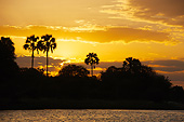 LAN 01 MC0007 01
Sunset On Zambezi River In Botswana, Africa