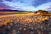 LAN 01 MH0023 01
Setting Sun In Southwest Namib Desert