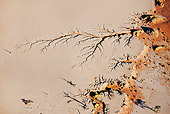 LAN 01 MH0039 01
Patterns In Sand From Erosion Namib Desert