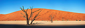 LAN 01 MH0040 01
Dead Acacia Tree In Namib Desert