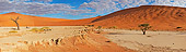 LAN 01 MH0044 01
Dead Acacia Trees And Erosion In Namib Desert