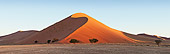LAN 01 MH0045 01
Sand Dunes And Acacia Trees In Namib Desert