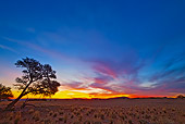 LAN 01 MH0046 01
NamibRand Nature Reserve Sunset In Namib Desert
