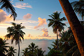 LAN 01 MH0100 01
View Of Beach Through Coconut Palms At Sunset On Fregate Island, Seychelles