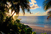 LAN 01 MH0101 01
View Of Beach Through Coconut Palms At Sunset On Fregate Island, Seychelles
