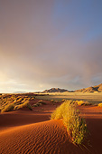 LAN 01 MH0103 01
NamibRand Nature Reserve At Sunset In Southwestern Namibia