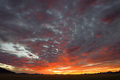 LAN 01 MH0113 01
NamibRand Nature Reserve At Sunrise In Southwestern Namibia