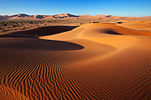 LAN 01 MH0120 01
Intricate Dune Pattern Lit Up By Morning Sun In Namib Desert, Namibia