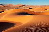LAN 01 MH0121 01
Intricate Dune Pattern Lit Up By Morning Sun In Namib Desert, Namibia