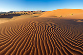 LAN 01 MH0122 01
Intricate Dune Pattern Lit Up By Morning Sun In Namib Desert, Namibia