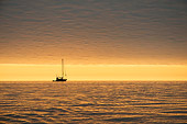 LAN 02 SK0003 01
Sailboat In Ocean With Sunset